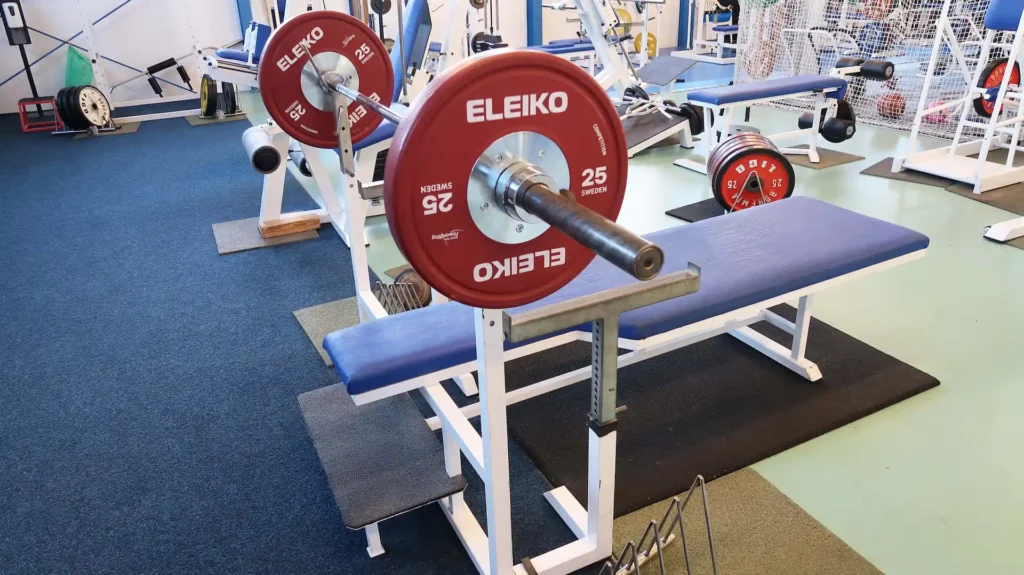 Ilustrační obrázek k nabídce jednorázového vstupu ve Fitness Loděnice v Českých Budějovicích