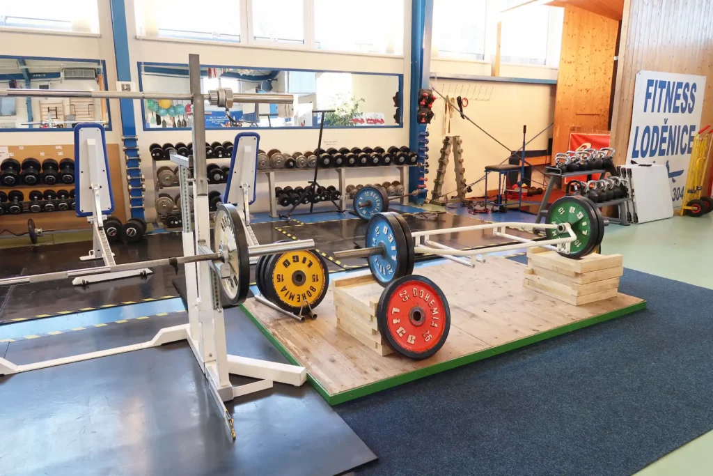 silova zona fitness lodenice eleiko vybaveni ceske budejovice